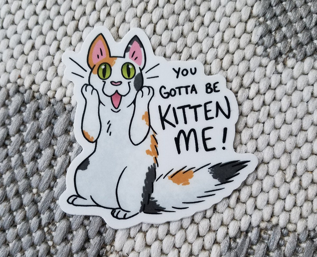 You Gotta be KITTEN ME! Stickers