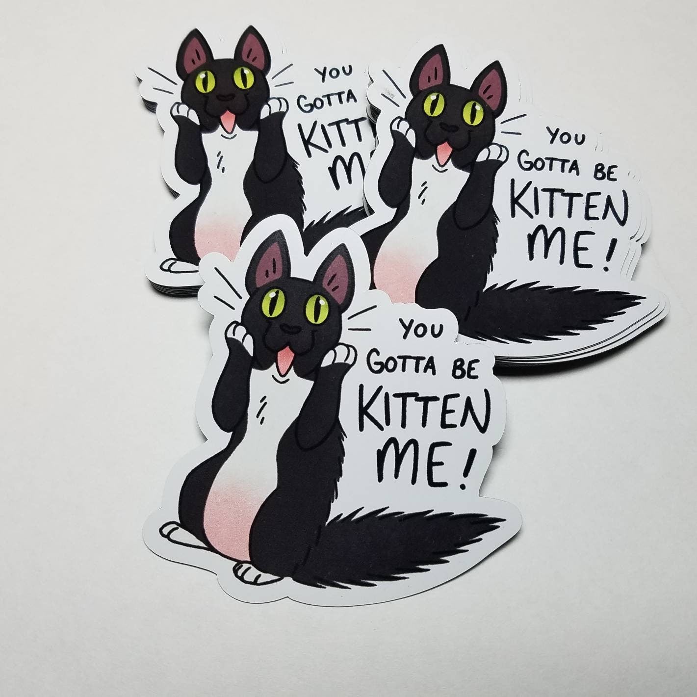 You Gotta be KITTEN ME! - MAGNET