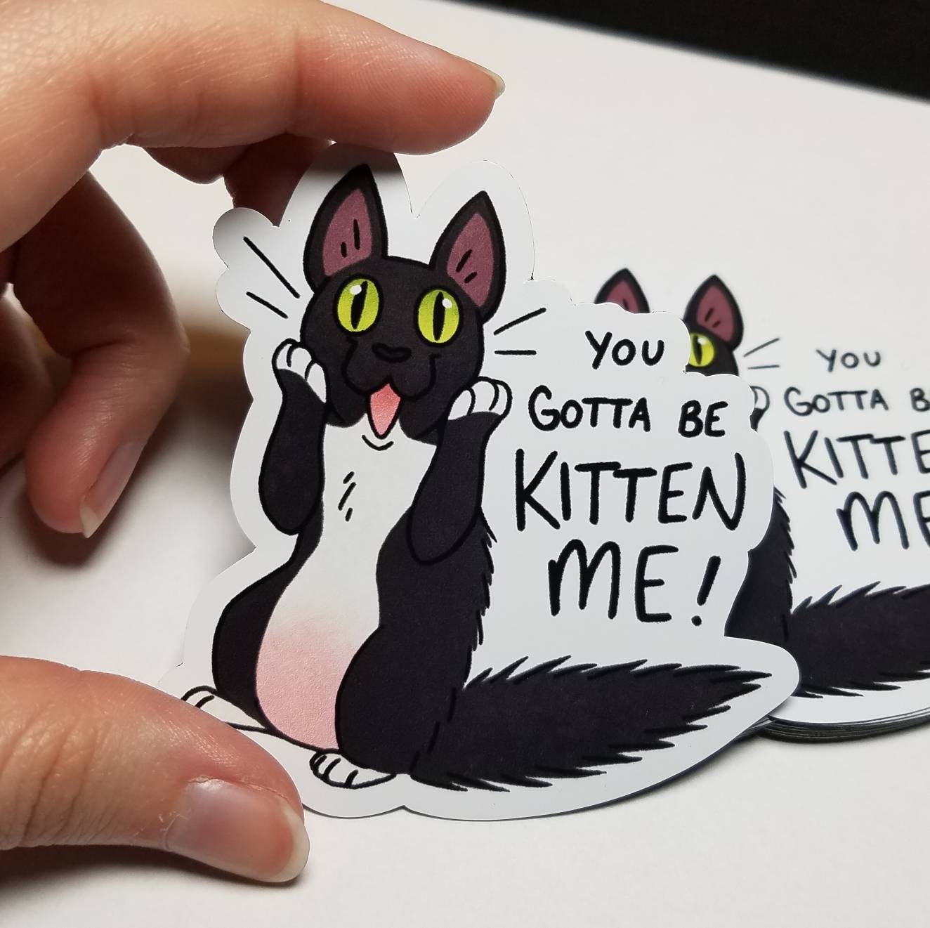 You Gotta be KITTEN ME! - MAGNET