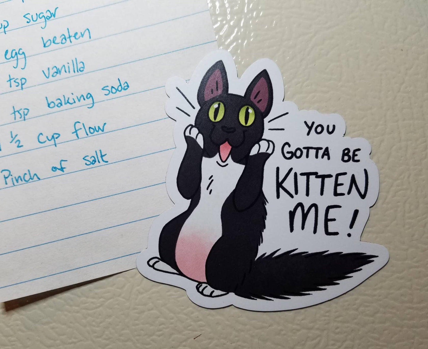 You Gotta be KITTEN ME! - MAGNET